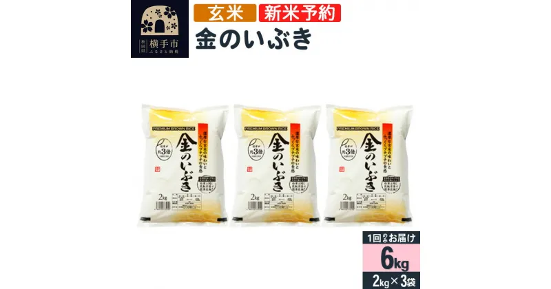 【ふるさと納税】【令和6年産新米予約】【玄米】金のいぶき 6kg（2kg×3袋）新米予約 6キロ