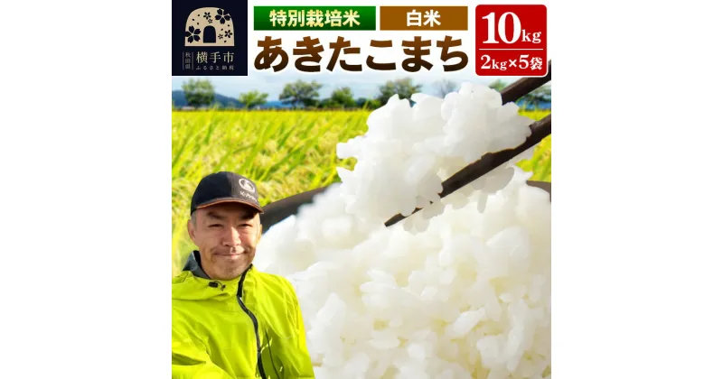 【ふるさと納税】秋田県 横手市 【白米】令和6年産 秋田県産 特別栽培米 あきたこまち 10kg（2kg×5袋）