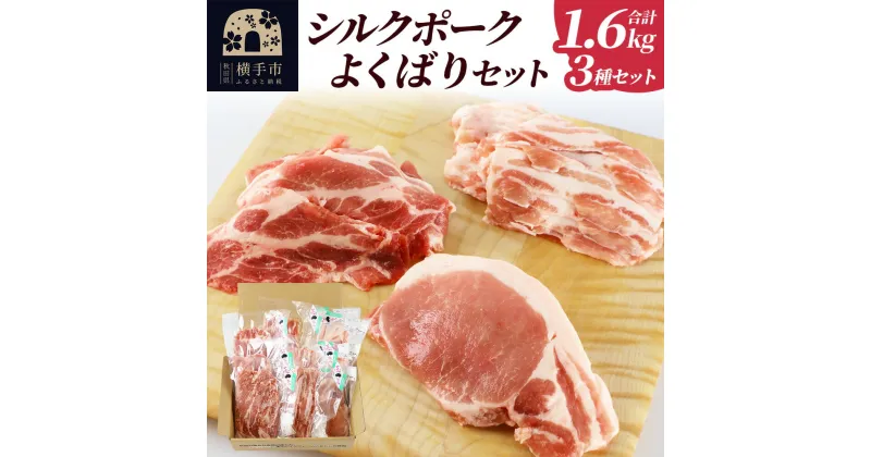 【ふるさと納税】シルクポークよくばりセット(ロース100g×4・肩ロースしゃぶしゃぶ用200g×3・バラしゃぶしゃぶ用200g×3)