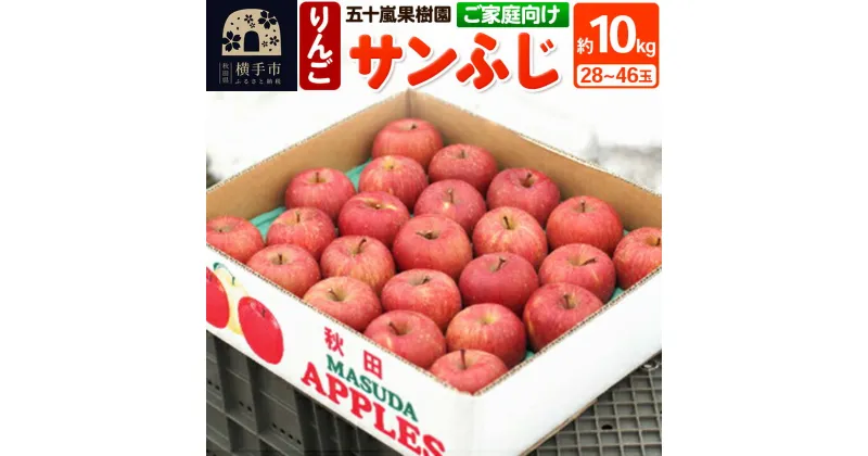 【ふるさと納税】【ご家庭向け】サンふじ 約10kg (28〜46玉) りんご 林檎