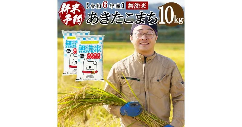 【ふるさと納税】【新米】【令和6年産】秋田県産「あきたこまち（無洗米）」 10kg（5kg×2袋） 105P9208