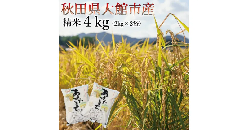 【ふるさと納税】【令和6年産】ホタルが舞う清らかな環境で育った「あきたこまち」4kg (2kg×2袋) 【40P9015】 米 精米 白米 お米 2kg 弁当 おにぎり 冷めてもおいしい お取り寄せ 食品 送料無料 アグリ川田 東北 秋田県 大館市 秋田 秋田産 大館産