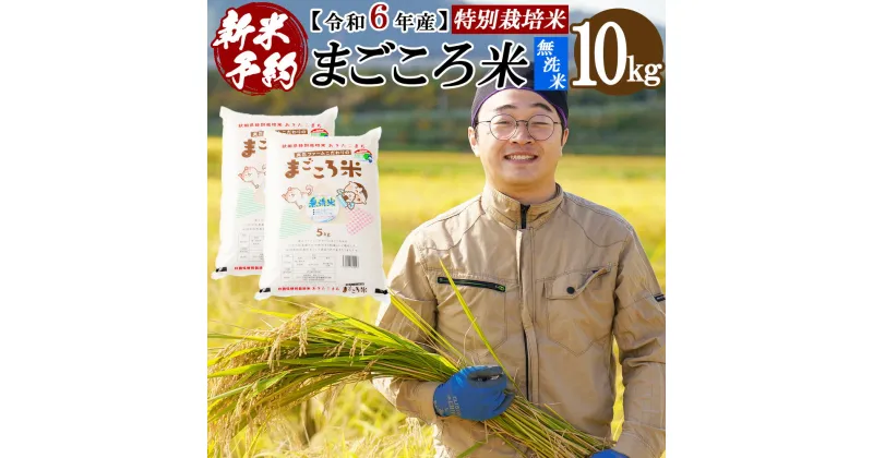 【ふるさと納税】【新米】【令和6年産】秋田県特別栽培米あきたこまち「まごころ米（無洗米）」 10kg（5kg×2袋） 110P9223