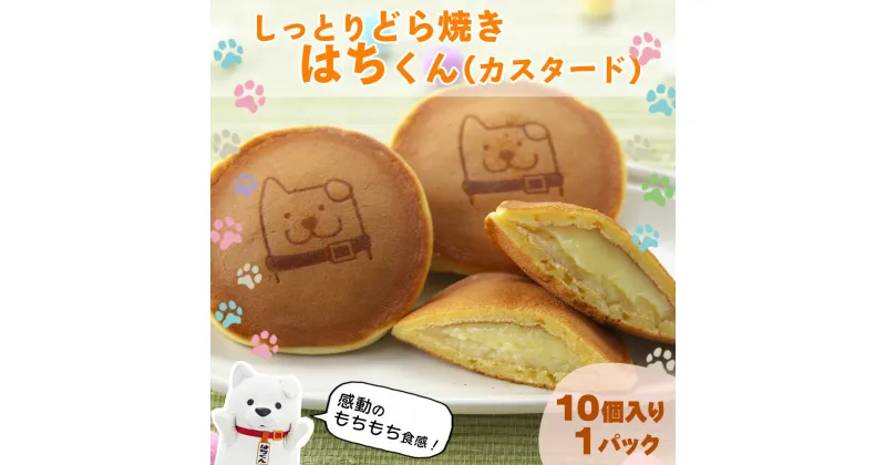 【ふるさと納税】冷凍しっとりどら焼きはちくん（カスタード）10個入り×1パック　【30P5606】 和菓子 スイーツ 東北センバ 秋田県 大館市 ご当地グルメ ギフト プレゼント 送料無料