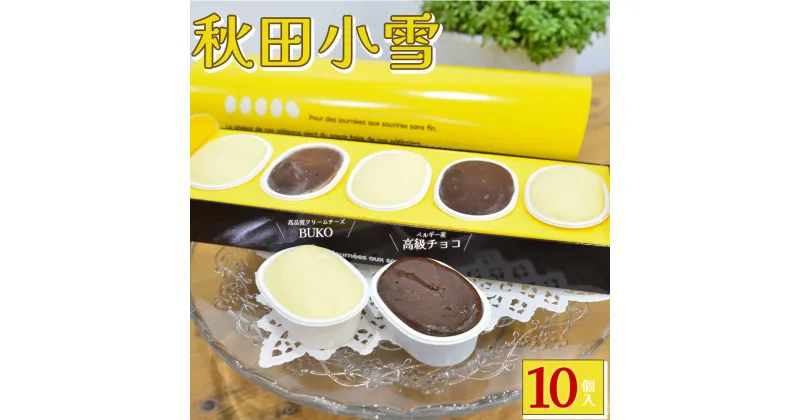 【ふるさと納税】秋田小雪10個入 小分け チーズ チョコレート バズり 大ヒット おやつ お菓子 スイーツ 冷凍 食品 お取り寄せ お取り寄せグルメ 秋田県 大館市 送料無料 【45P5601】