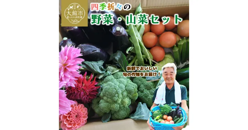 【ふるさと納税】四季折々の野菜・山菜セット（5品目ほど）【45P3203】