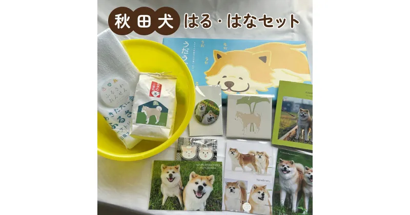 【ふるさと納税】ふるさわおんせんオリジナル秋田犬はる・はなセット 10種【グッズ 詰め合わせ セット 秋田犬 桶 タオル 米 お米 ショコラ サブレ 枝豆 おやつ おつまみ キーホルダー ポストカード 缶バッジ コースター 日用品 雑貨 贈り物 東北 秋田】【175P7801】