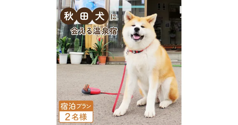 【ふるさと納税】【宿泊プラン】秋田犬、温泉、季節郷土膳と地酒プラン 1泊2日（2名様1室）宿泊 チケット 体験 秋田犬 温泉 郷土料理 きりたんぽ 地酒 飲み比べ プラン 記念 オリジナル サービス ふるさわおんせん 東北 秋田【715P8401】