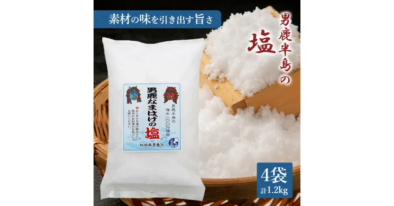 【ふるさと納税】男鹿半島の塩300g×4袋（ポリ袋入り）　調味料・海塩・塩