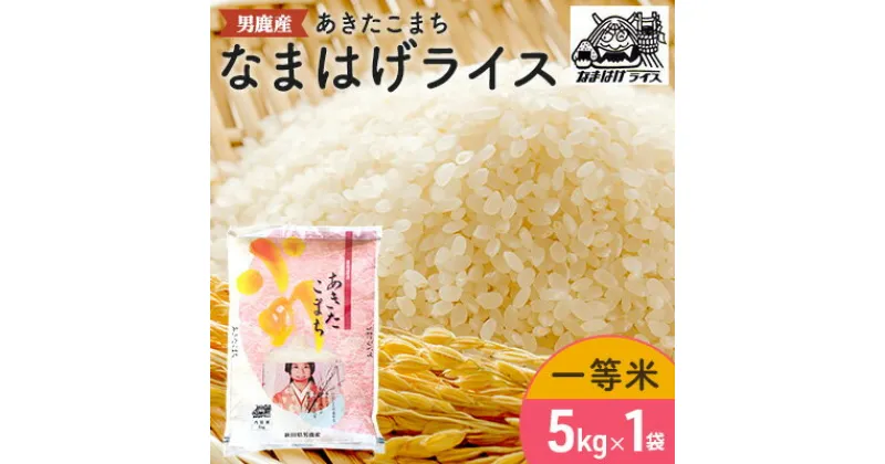 【ふるさと納税】R6年度産 先行予約 【あきたこまち】なまはげライス5kg　お米・精米・あきたこまち・米