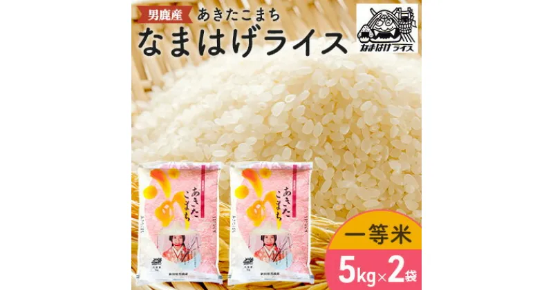 【ふるさと納税】R6年度産 先行予約 【あきたこまち】なまはげライス5kg×2　 米 お米 精米 あきたこまち 計10kg キャンペーン