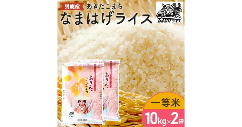 【ふるさと納税】R6年度産 先行予約 【あきたこまち】なまはげライス10kg×2　お米・精米・あきたこまち・米・計20kg