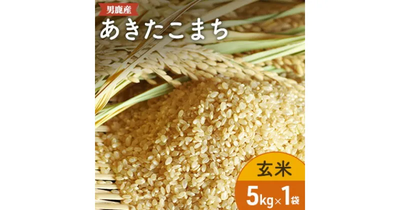 【ふるさと納税】R6年度産 あきたこまち 玄米 5kg　 男鹿市 寒風山 お米 5kg 米 国産