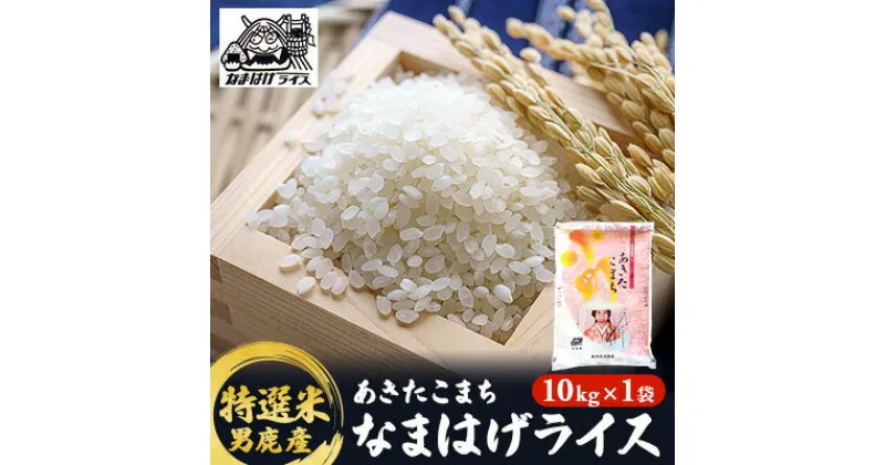 【ふるさと納税】R6年度産 先行予約 【あきたこまち】なまはげライス特選米10kg　精米・お米・あきたこまち・米・秋田県産