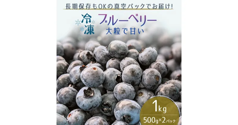 【ふるさと納税】【男鹿ぶるーべりーガーデン】 冷凍ブルーベリー500g×2パック（合計1kg）　果物・フルーツ