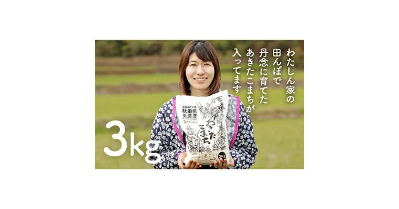 【ふるさと納税】なまはげの郷秋田県男鹿産あきたこまち 3kg【男鹿なび】　お米・あきたこまち・米