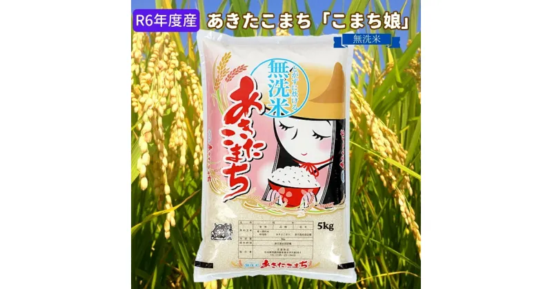 【ふるさと納税】R6年度産 あきたこまち 無洗米 5kg『こまち娘』吉運商店 秋田県 男鹿市　お米・あきたこまち