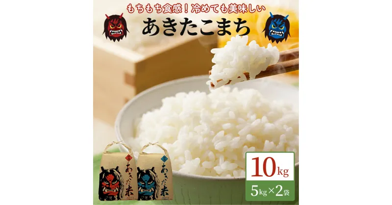 【ふるさと納税】令和6年産 あきたこまち 精米 単一原料米 10kg（5kg×2袋）秋田県 男鹿市　 米 白米 ごはん ブランド米 秋田 　お届け：2024年10月から2025年8月31日まで