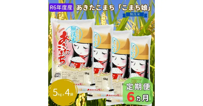 【ふるさと納税】定期便 R6年度産 『こまち娘』あきたこまち 無洗米 20kg 5kg×4袋6ヶ月連続発送（合計120kg）吉運商店 秋田県 男鹿市　定期便・お米・あきたこまち・米・無洗米