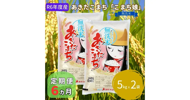 【ふるさと納税】定期便 R6年度産 『こまち娘』あきたこまち 無洗米 10kg 5kg×2袋6ヶ月連続発送（合計60kg）吉運商店 秋田県 男鹿市　定期便・お米・あきたこまち・米・無洗米