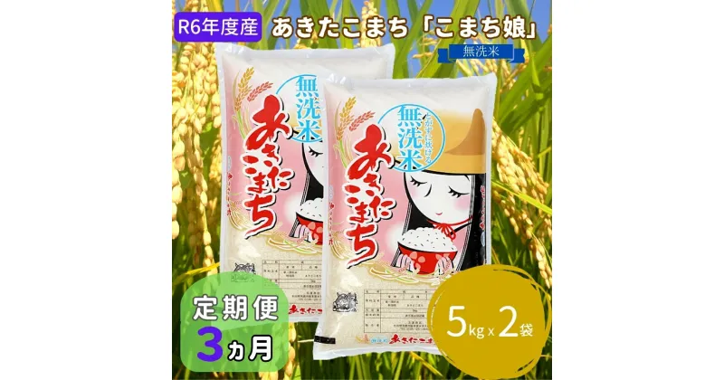 【ふるさと納税】定期便 R6年度産 『こまち娘』あきたこまち 無洗米 10kg 5kg×2袋3ヶ月連続発送（合計30kg）吉運商店 秋田県 男鹿市　定期便・ お米 銘柄米 ブランド米 キャンペーン