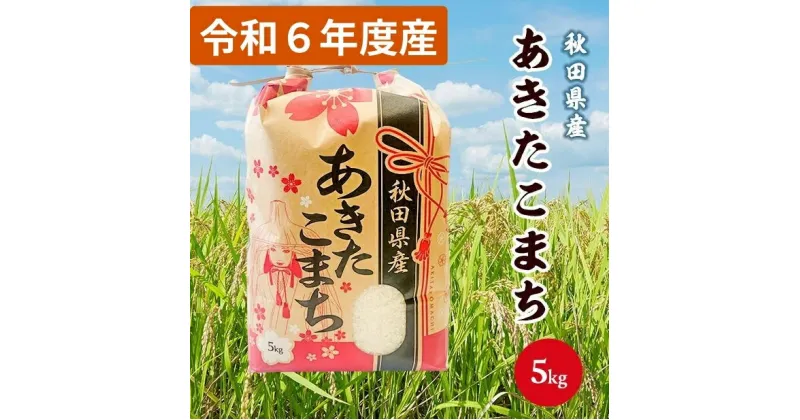 【ふるさと納税】令和6年産 秋田県産 あきたこまち 白米5kg 9月下旬順次発送　お届け：2024年9月下旬～2025年9月下旬