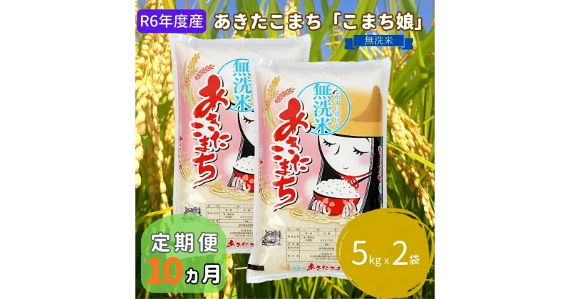 【ふるさと納税】米 定期便 R6年度産 『こまち娘』 あきたこまち 無洗米 5kg × 2袋 10ヶ月連続発送（合計100kg）吉運商店 秋田県 男鹿市 お米 お弁当 おにぎり　定期便