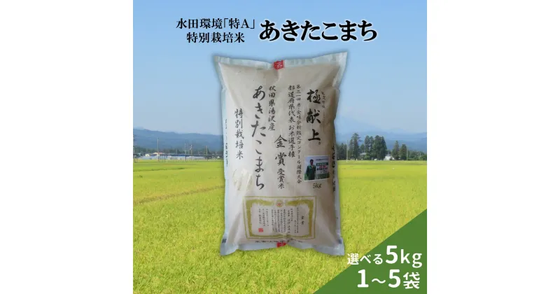 【ふるさと納税】＼9月下旬より順次発送／ 令和6年産 新米 あきたこまち 選べる 5kg 10kg 15kg 20kg 25kg 精米 白米 農家直送 受賞歴多数 水田環境特A 特別栽培米 ＼自然由来の漢方栽培／ ふるさと納税 あきたこまち ふるさと納税 米 ふるさと 人気 ランキング [B13-2101]