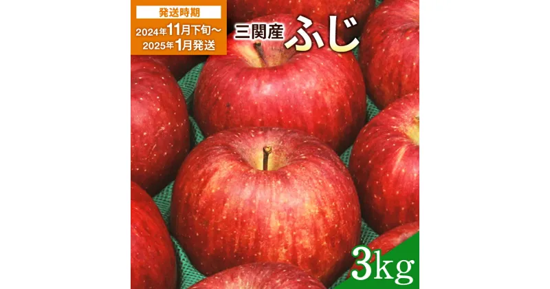 【ふるさと納税】【2024年11月下旬〜2025年1月発送】三関産 りんご ふじ 3kg 濃厚 で ジューシー ふるさと納税 りんご 旬 ふじりんご 果物 フルーツ 秋田県 三関 [K3-2601]