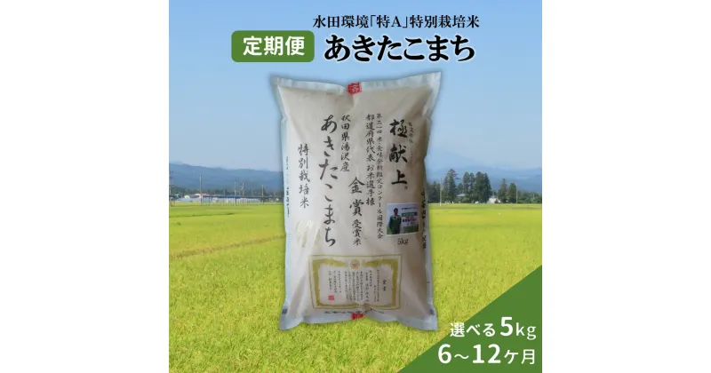 【ふるさと納税】 【選べる定期便6・10・12ヶ月】 令和6年産 新米 あきたこまち 5kg 精米 白米 農家直送 受賞歴多数 水田環境特A 特別栽培米 ＼自然由来の漢方栽培／ ふるさと納税 あきたこまち ふるさと納税 米 定期便 5キロ 定期 ふるさと 人気 [F2104]