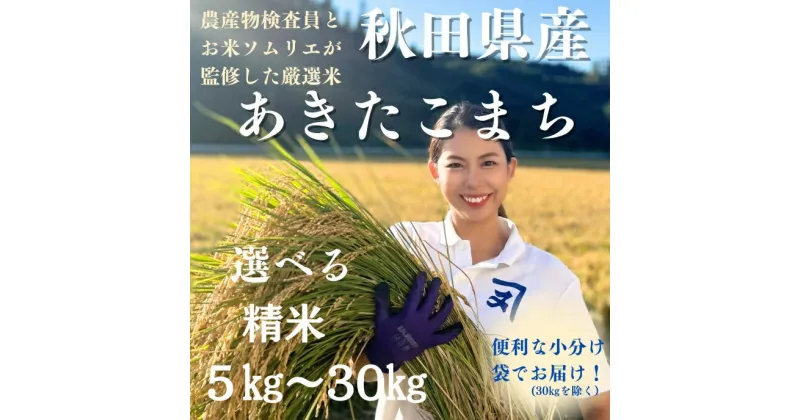 【ふるさと納税】【米農家直送】特Aランク厳選秋田県産あきたこまち【白米10kg】[H4-2302]