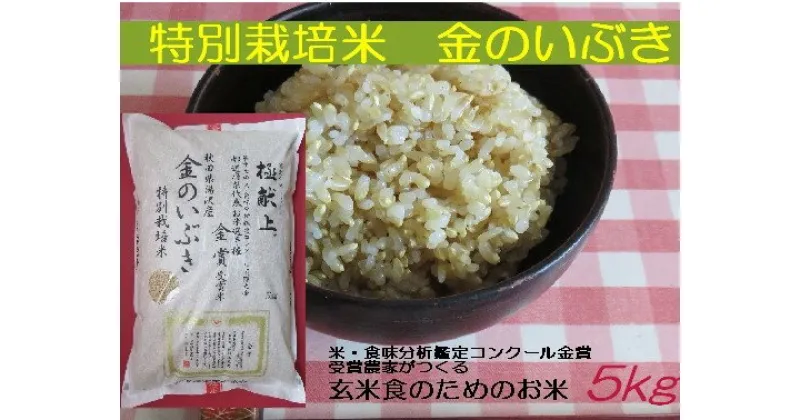 【ふるさと納税】【令和6年産米　冷めても美味しい玄米】特別栽培米　金のいぶき5kg[B5-2101]