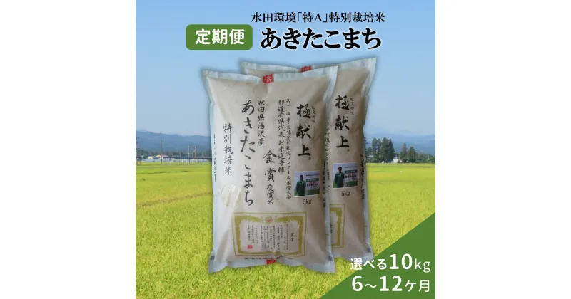 【ふるさと納税】 【選べる定期便6・10・12ヶ月】 令和6年産 新米 あきたこまち 10kg (5kg×2袋) 精米 白米 農家直送 受賞歴多数 水田環境特A 特別栽培米 ＼自然由来の漢方栽培／ ふるさと納税 あきたこまち ふるさと納税 米 定期便 10キロ 定期 ふるさと 人気 [F2102]