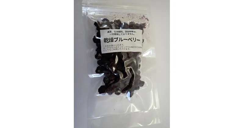 【ふるさと納税】自然栽培ブルーベリーの乾燥ブルーベリー（無添加）50g×5袋[B2-13502]