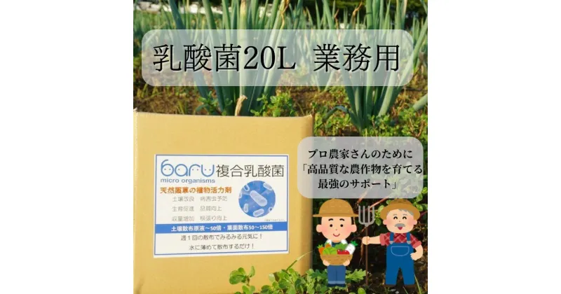 【ふるさと納税】環境に優しい農業用乳酸菌 安全で効果的な乳酸菌液をお届け 乳酸菌資材 有益菌農業 農業 家庭菜園 堆肥化 土壌改良 植物活力剤 野菜栽培 果物 花 原液 天然 堆肥作り あきた発酵農法 発酵 20L 業務用[N9901]