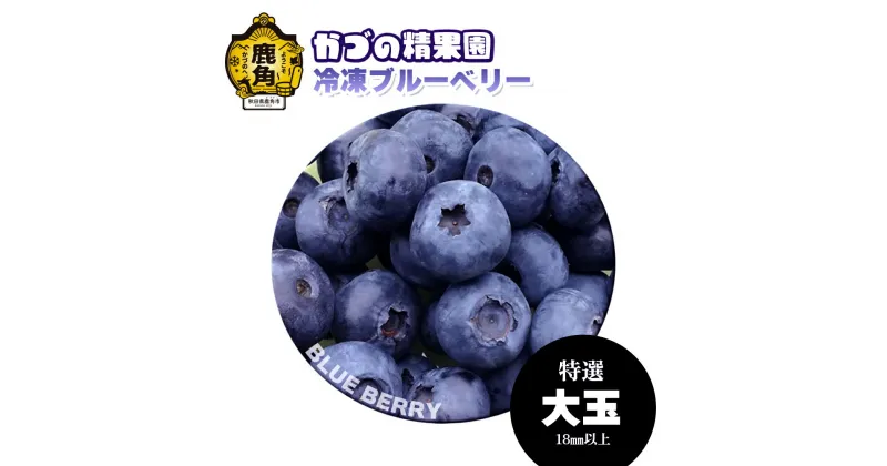 【ふるさと納税】 ブルーベリー 特選 大玉 1kg 2kg 7kg 定期便 冷凍 無農薬 新鮮 旬 国産 冷凍ブルーベリー ジュース スムージー レシピ 効能 栄養 ダイエット お取り寄せ 母の日 父の日 グルメ ギフト 故郷 秋田 あきた 鹿角市 送料無料 【かづの精果園】