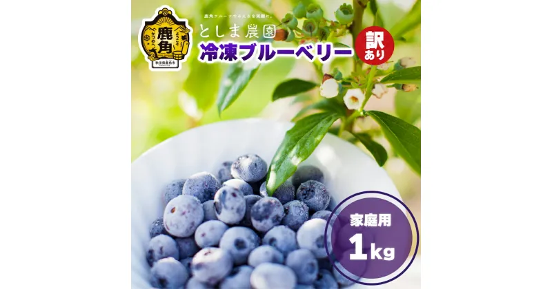 【ふるさと納税】 訳あり 冷凍 ブルーベリー 1kg ( サイズMIX ) 旬 県産 ブルーベリー 国産ブルーベリー 小分け お中元 お歳暮 お取り寄せ 母の日 父の日 グルメ ギフト 故郷 秋田 あきた 鹿角市 鹿角 送料無料 【としま農園】