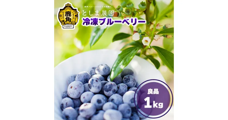 【ふるさと納税】 冷凍 ブルーベリー 良品 1kg ( サイズMIX ) 旬 県産ブルーベリー 国産ブルーベリー お中元 お歳暮 お取り寄せ 母の日 父の日 グルメ ギフト 故郷 秋田 あきた 鹿角市 鹿角 送料無料 【としま農園】