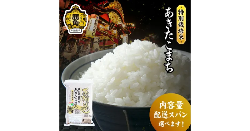 【ふるさと納税】《 先行予約 》 令和6年産 特別栽培米 花輪ばやし（ あきたこまち ） 白米 米 お米 おこめ 県産米 国産米 生活 応援米 お中元 お歳暮 新生活 グルメ ギフト 故郷 秋田 あきた 鹿角市 鹿角 送料無料 【安保金太郎商店】