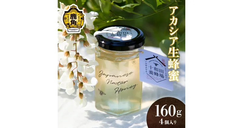 【ふるさと納税】 はちみつ 鹿角産 天然 アカシア 蜂蜜 セット 160g × 4 非加熱 国産 生はちみつ アカシア ミツバチ 生はちみつ お中元 お歳暮 母の日 贈り物 贈答用 ホワイトデー グルメ ギフト 故郷 秋田 あきた 鹿角市 鹿角 送料無料 【十和田養蜂場】