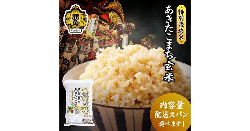 【ふるさと納税】《 先行予約 》 令和6年産 特別栽培米 花輪ばやし（ あきたこまち ）玄米 米 お米 おこめ 県産米 国産米 生活 応援米 お中元 お歳暮 新生活 グルメ ギフト 故郷 秋田 あきた 鹿角市 鹿角 送料無料 【安保金太郎商店】