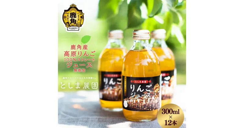 【ふるさと納税】 鹿角産 高原りんごジュース 300ml × 12本 無添加 リンゴ 完熟 蜜入り 旬 県産りんご お中元 お歳暮 贈答品 贈り物 お見舞い 内祝い グルメ ギフト 故郷 秋田 あきた 鹿角市 鹿角 送料無料 【としま農園】