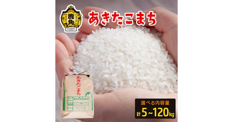 【ふるさと納税】 新米 令和6年産 あきたこまち 5kg～120kg 選べる 単品 定期 5kg 15kg 30kg 60kg 120kg 定期便 白米 精米 小分け パッケージ 米 お米 こめ コメ 県産米 国産米 ギフト お中元 お歳暮 ふるさと 返礼品 秋田 あきた 鹿角市 鹿角 送料無料 【豊田農園】