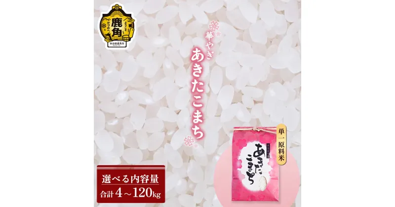 【ふるさと納税】 新米 令和6年産 華やぎ あきたこまち 4kg～120kg 選べる 単品 定期 4kg 5kg 6kg 8kg 10kg 15kg 30kg 定期便 精米 小分け パッケージ 米 お米 こめ コメ 県産米 国産米 ギフト お中元 お歳暮 ふるさと 返礼品 秋田 あきた 鹿角市 鹿角 送料無料 【豊田農園】