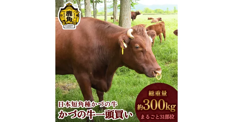 【ふるさと納税】 日本短角種 かづの牛 1頭買い 家庭用 お手軽 かんたん 牛肉 ヘルシー 低カロリー 県産牛 国産牛 お中元 お歳暮 お取り寄せ グルメ ギフト 故郷 秋田 あきた 鹿角市 鹿角 送料無料 【秋田県畜産農業協同組合】