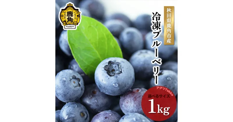 【ふるさと納税】 令和6年産 冷凍ブルーベリー 秋田県鹿角産 1kg ( 500g × 2袋 ) 大玉 中玉 サイズMIX 新鮮 ブルーベリー 冷凍 県産ブルーベリー 国産ブルーベリー お中元 お歳暮 お取り寄せ グルメ ギフト 故郷 秋田 あきた 鹿角市 鹿角 送料無料 【アグリTakko】