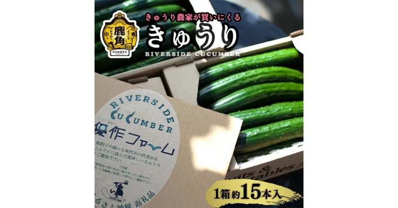 【ふるさと納税】 野菜ソムリエサミット 銀賞受賞 リバーサイド きゅうり 1箱約15本入り 選べる内容量 秋田県鹿角産 新鮮 旬 安全 採れたて クール便 キュウリ 胡瓜 国産野菜 お中元 お歳暮 お取り寄せ グルメ ギフト 秋田 あきた 鹿角市 鹿角 送料無料 【優作ファーム】