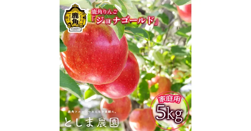 【ふるさと納税】《 訳あり 》 鹿角 りんご ジョナゴールド 家庭用 約 5kg ( 12～20玉 ) リンゴ 完熟 旬 県産りんご お中元 お歳暮 贈り物 お見舞い グルメ ギフト 故郷 秋田 あきた 鹿角市 鹿角 送料無料 【としま農園】