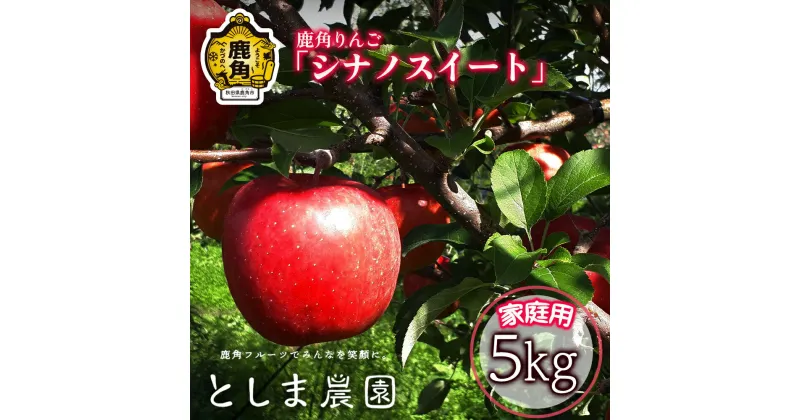 【ふるさと納税】《 訳あり 》 鹿角 りんご シナノスイート 家庭用 約 5kg ( 12～20玉 ) リンゴ 完熟 旬 県産りんご お中元 お歳暮 贈り物 お見舞い グルメ ギフト 故郷 秋田 あきた 鹿角市 鹿角 送料無料 【としま農園】