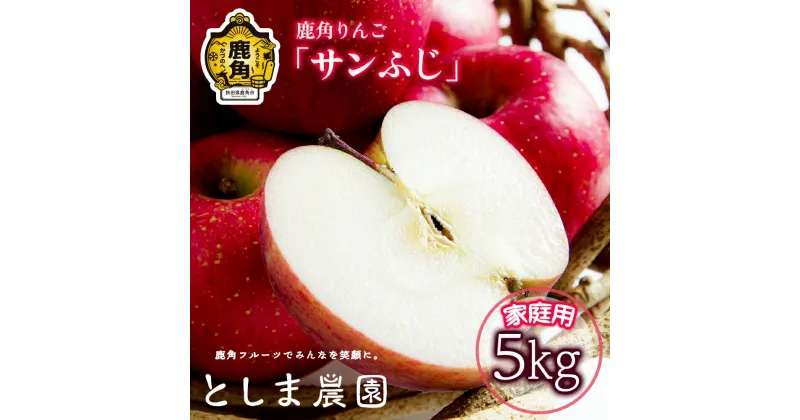 【ふるさと納税】《 先行予約 》 《 訳あり 》 鹿角 りんご サンふじ 家庭用 約 5kg ( 12～23玉 ) リンゴ 完熟 旬 県産りんご 林檎 お中元 お歳暮 贈り物 お見舞い グルメ ギフト 故郷 秋田 あきた 鹿角市 鹿角 送料無料 【としま農園】